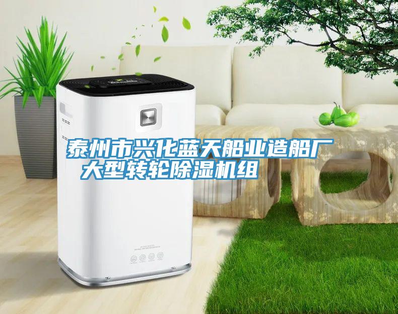 泰州市興化藍天船業造船廠 大型轉輪草莓视频污污污污組