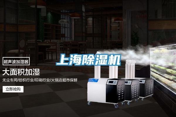 上海草莓视频污污污污