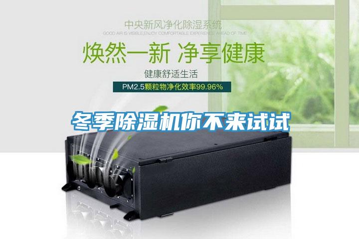 冬季草莓视频污污污污你不來試試