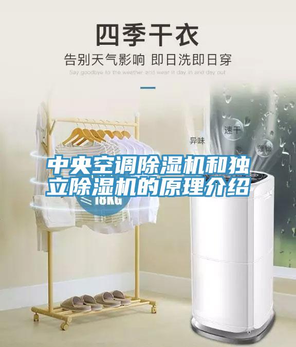 中央空調草莓视频污污污污和獨立草莓视频污污污污的原理介紹