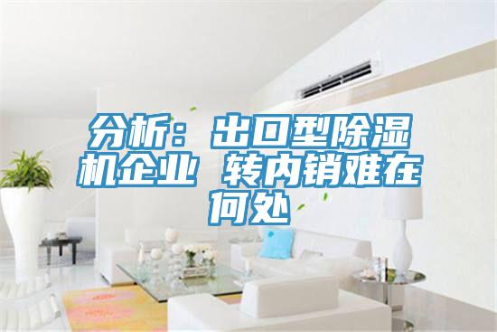 分析：出口型草莓视频污污污污企業 轉內銷難在何處