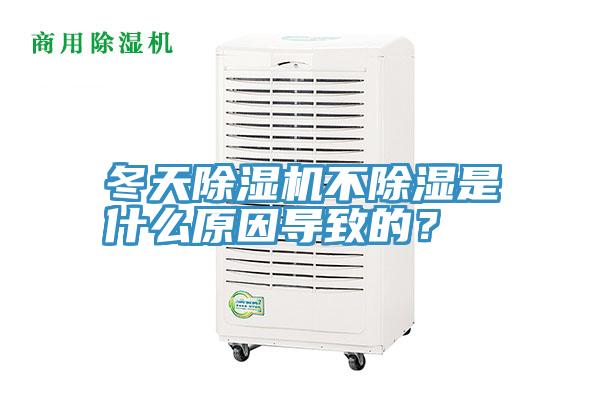 冬天草莓视频污污污污不除濕是什麽原因導致的？