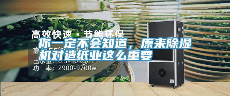 你一定不會知道，原來草莓视频污污污污對造紙業這麽重要