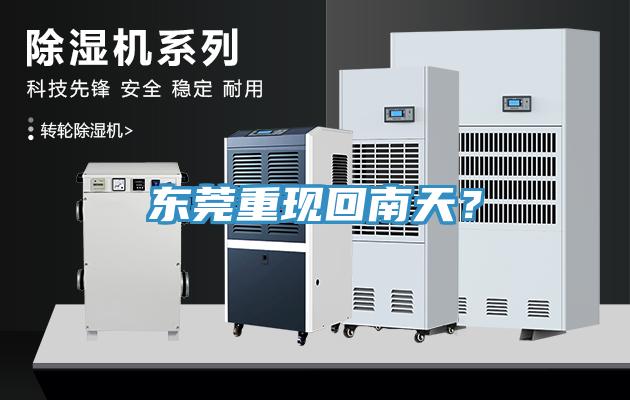 東莞重現回南天？