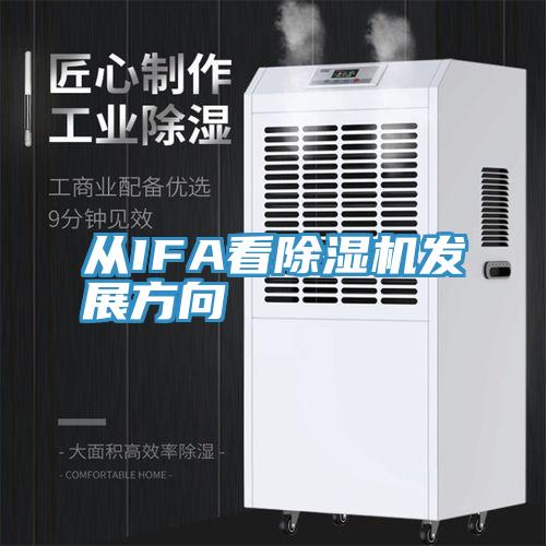 從IFA看草莓视频污污污污發展方向