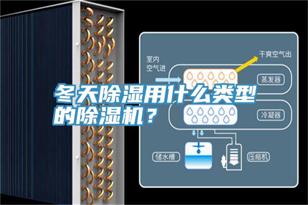 冬天除濕用什麽類型的草莓视频污污污污？
