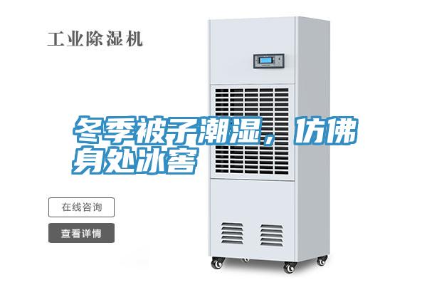 冬季被子潮濕，仿佛身處冰窖