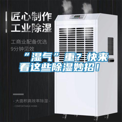 “濕氣”重？快來看這些除濕妙招！