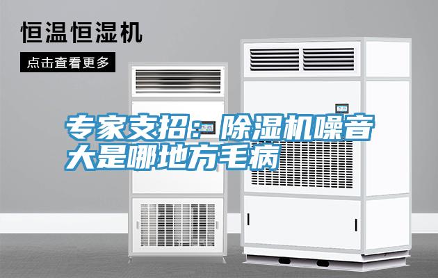 專家支招：草莓视频污污污污噪音大是哪地方毛病
