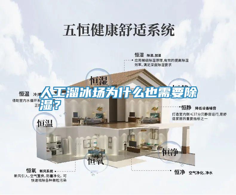 人工溜冰場為什麽也需要除濕？