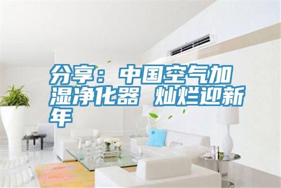 分享：中國空氣加濕淨化器 燦爛迎新年