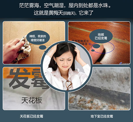 家庭別墅的地下室、衛生間、儲物室等該如何除濕？