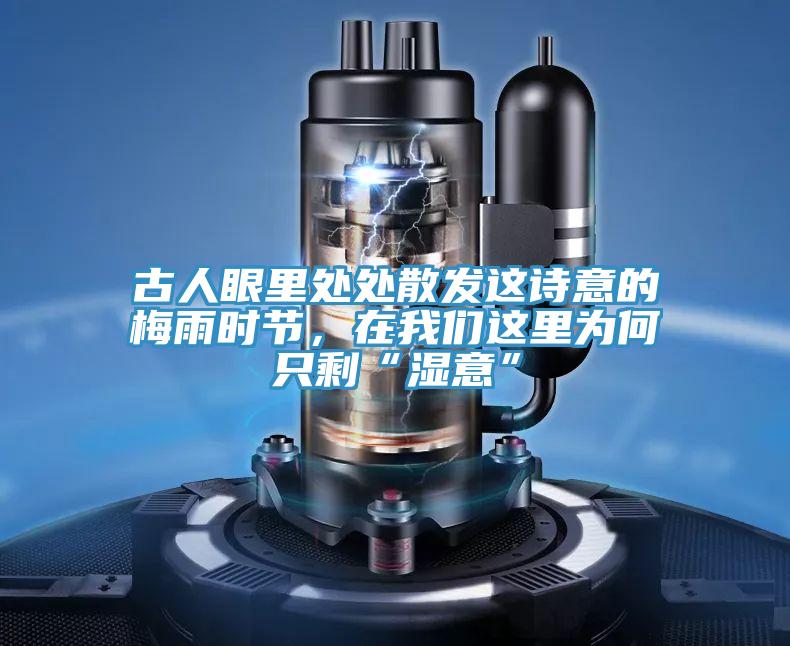 古人眼裏處處散發這詩意的梅雨時節，在草莓视频黄污下载這裏為何隻剩“濕意”