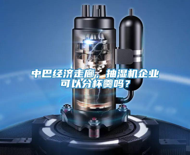 中巴經濟走廊，抽濕機企業可以分杯羹嗎？