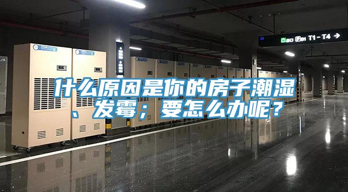 什麽原因是你的房子潮濕、發黴；要怎麽辦呢？