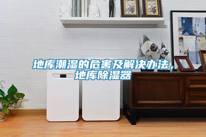地庫潮濕的危害及解決辦法，地庫除濕器