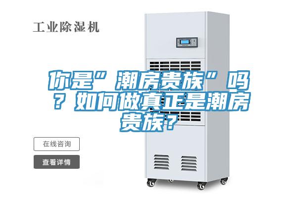 你是”潮房貴族”嗎？如何做真正是潮房貴族？