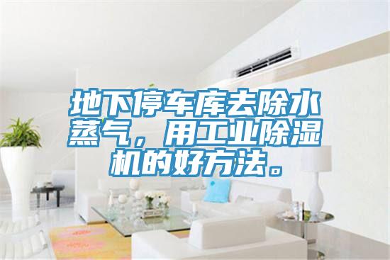 地下停車庫去除水蒸氣，用工業草莓视频污污污污的好方法。