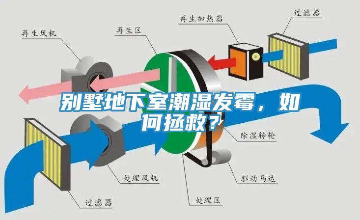 別墅地下室潮濕發黴，如何拯救？