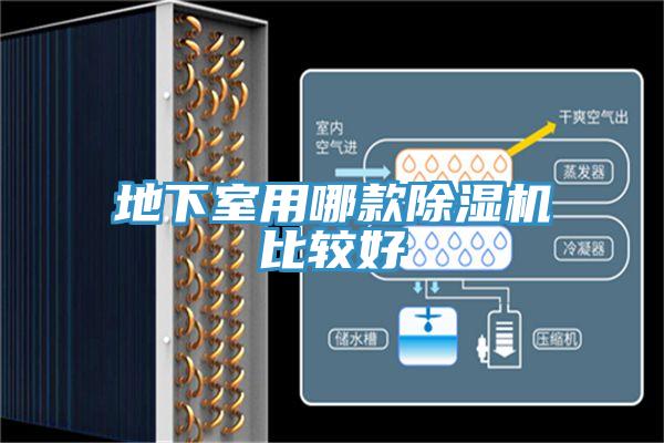 地下室用哪款草莓视频污污污污比較好