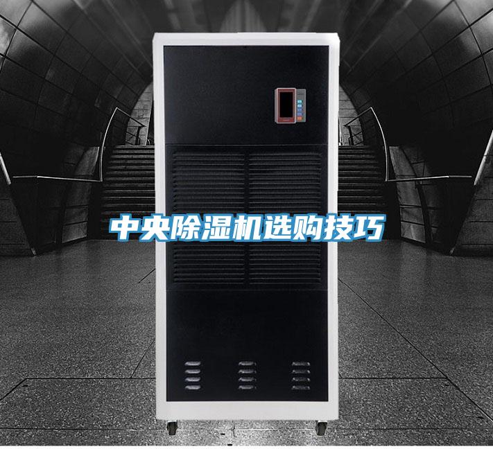 中央草莓视频污污污污選購技巧