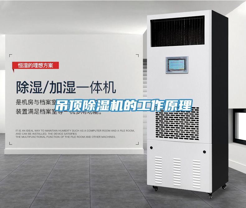 吊頂草莓视频污污污污的工作原理