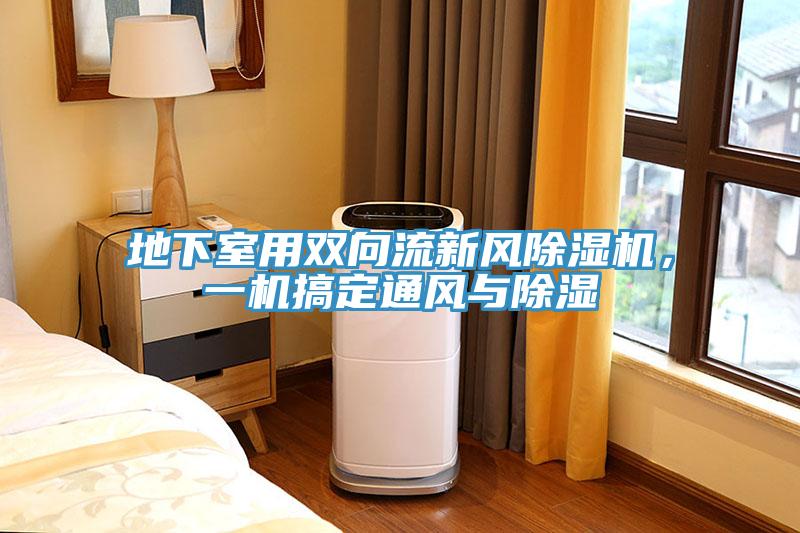 地下室用雙向流新風草莓视频污污污污，一機搞定通風與除濕