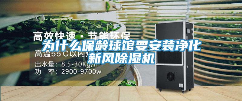 為什麽保齡球館要安裝淨化新風草莓视频污污污污