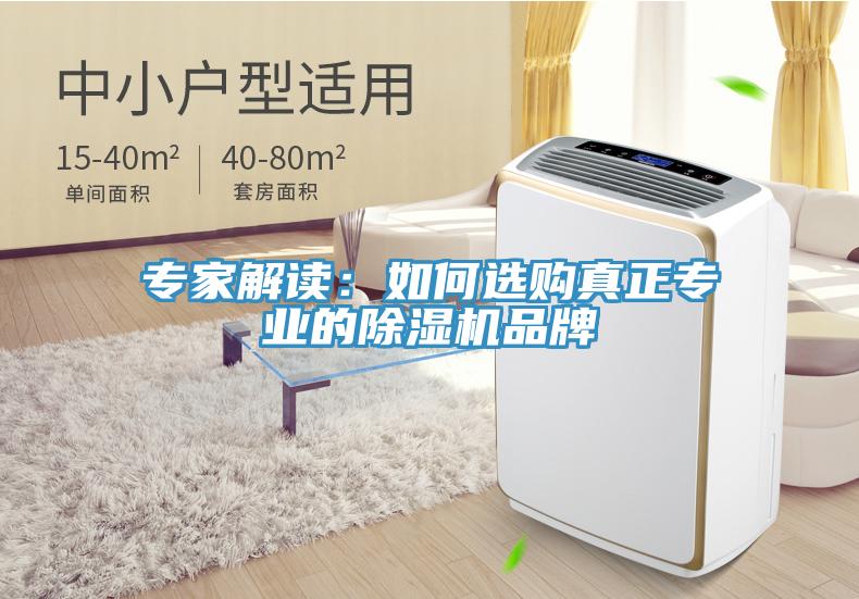 專家解讀：如何選購真正專業的草莓视频污污污污品牌