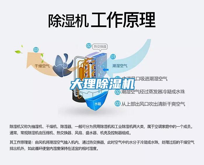 大理草莓视频污污污污