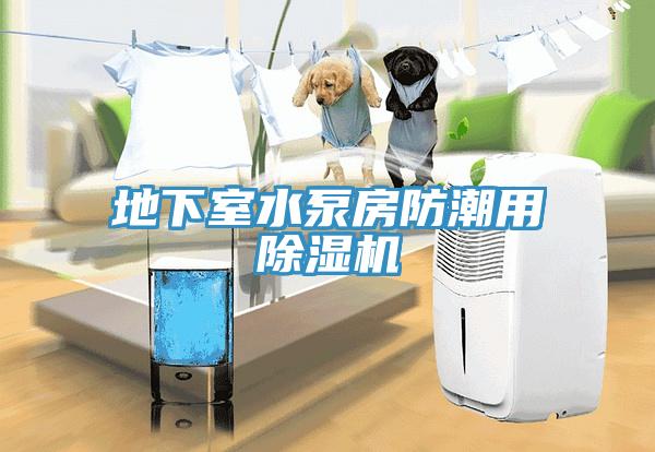 地下室水泵房防潮用草莓视频污污污污