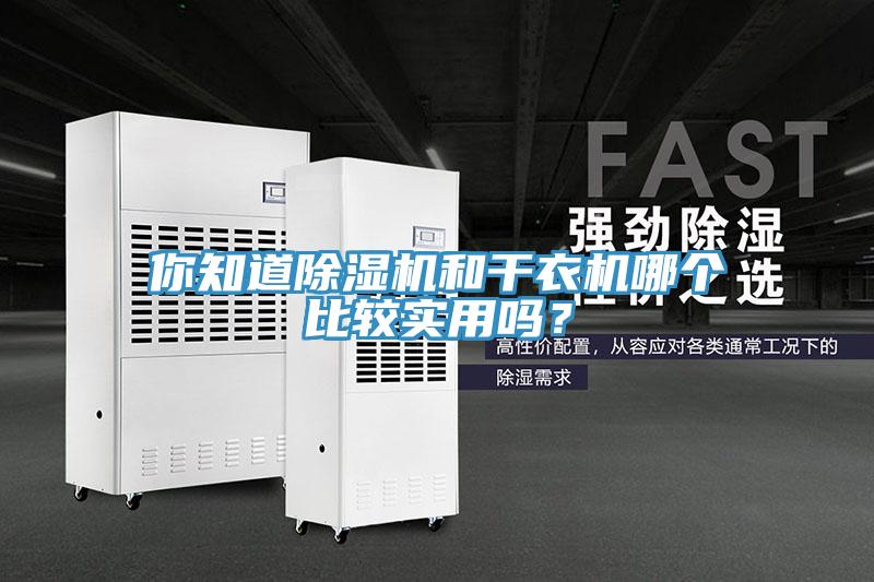 你知道草莓视频污污污污和幹衣機哪個比較實用嗎？
