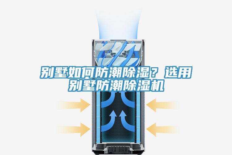 別墅如何防潮除濕？選用別墅防潮草莓视频污污污污