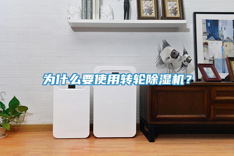 為什麽要使用轉輪草莓视频污污污污？
