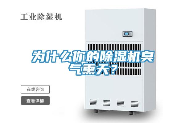 為什麽你的草莓视频污污污污臭氣熏天？