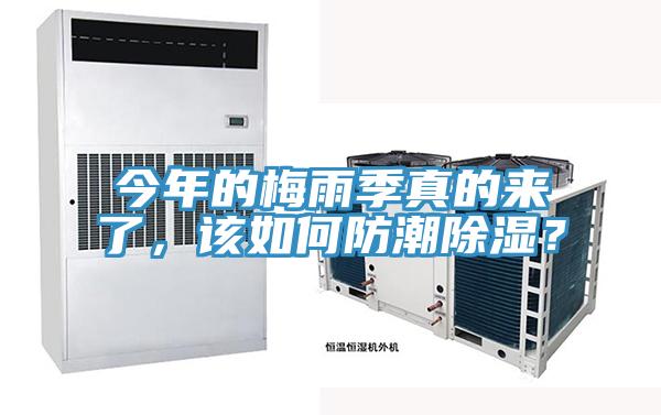 今年的梅雨季真的來了，該如何防潮除濕？