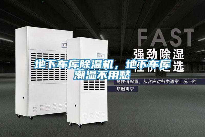 地下車庫草莓视频污污污污，地下車庫潮濕不用愁