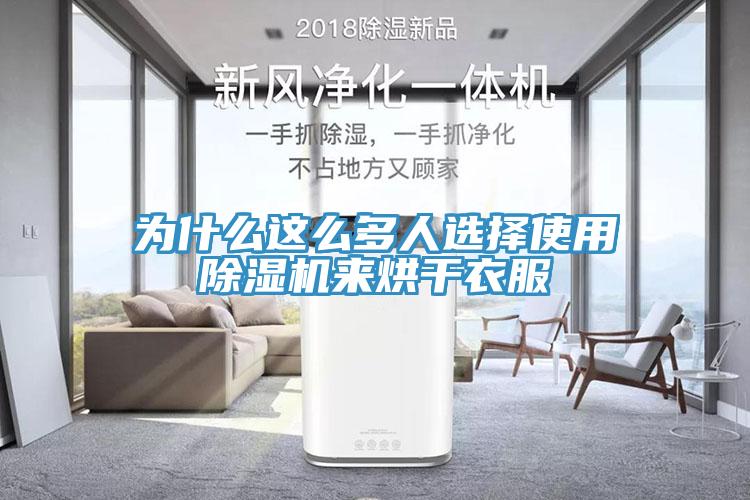 為什麽這麽多人選擇使用草莓视频污污污污來烘幹衣服
