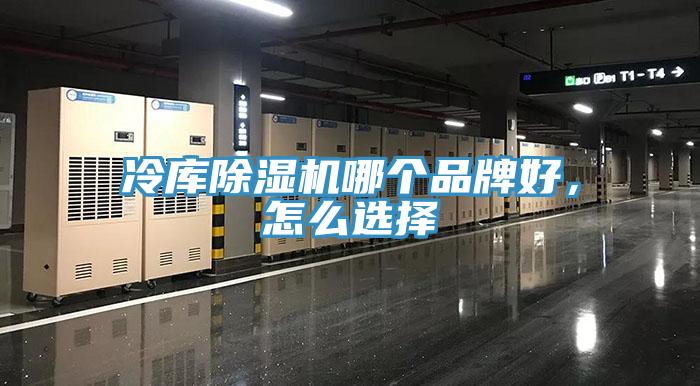 冷庫草莓视频污污污污哪個品牌好，怎麽選擇
