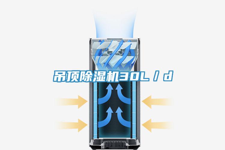 吊頂草莓视频污污污污30L／d