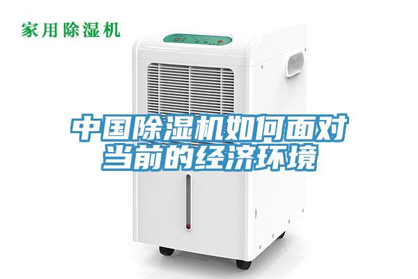 中國草莓视频污污污污如何麵對當前的經濟環境
