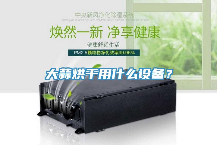 大蒜烘幹用什麽設備？