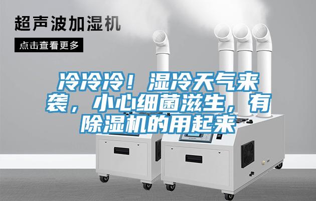 冷冷冷！濕冷天氣來襲，小心細菌滋生，有草莓视频污污污污的用起來