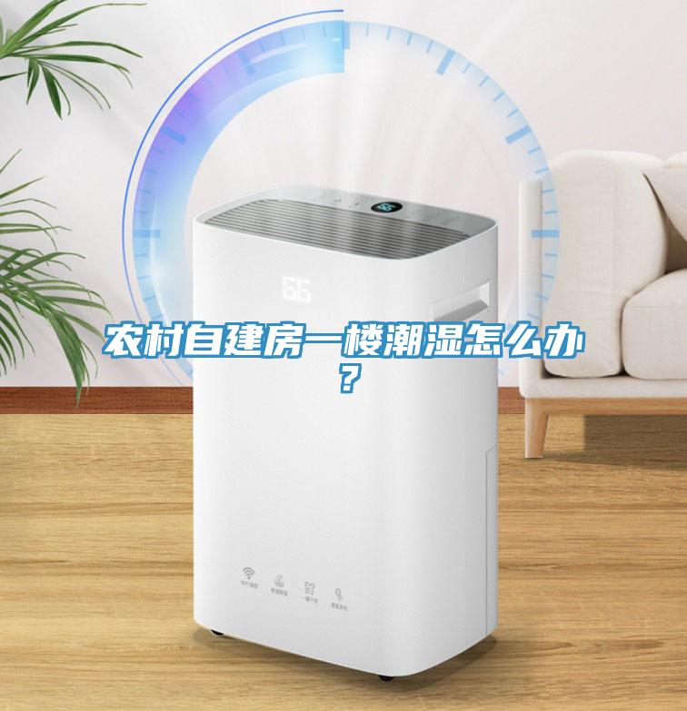 農村自建房一樓潮濕怎麽辦？