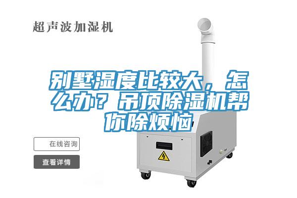 別墅濕度比較大，怎麽辦？吊頂草莓视频污污污污幫你除煩惱
