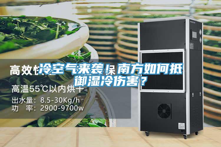 冷空氣來襲！南方如何抵禦濕冷傷害？