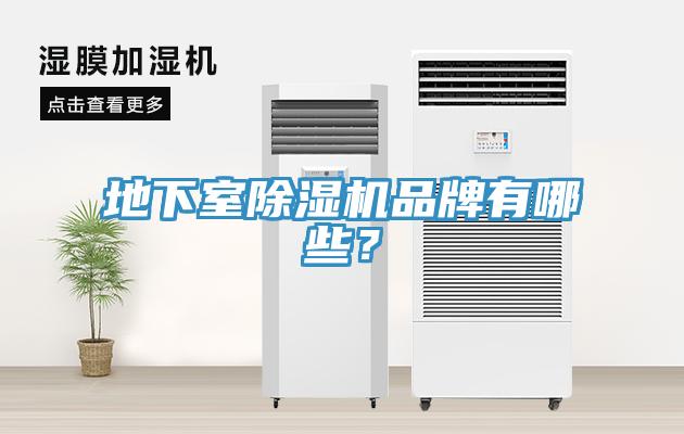 地下室草莓视频污污污污品牌有哪些？