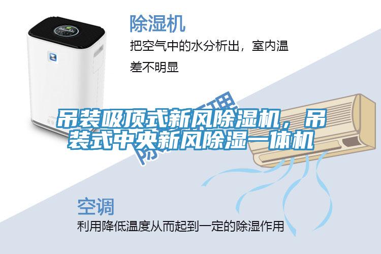 吊裝吸頂式新風草莓视频污污污污，吊裝式中央新風除濕一體機
