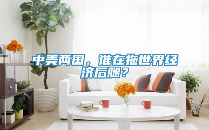 中美兩國，誰在拖世界經濟後腿？