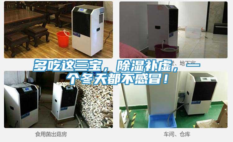多吃這三寶，除濕補虛，一個冬天都不感冒！